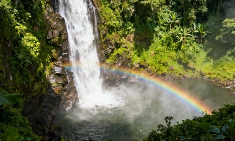 Air Terjun Coban Pelangi, Malang: Keindahan Alam yang Memikat Hati